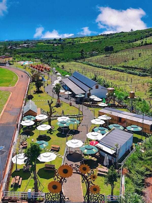 z5587922975502 4a675ad150be72a61e246adbeec0a512